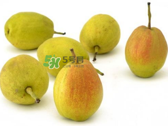 香梨怎么挑？香梨的功效與作用