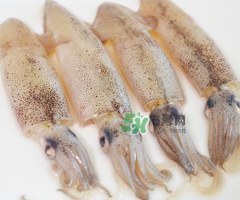 筆管魚是什么魚？筆管魚怎么吃