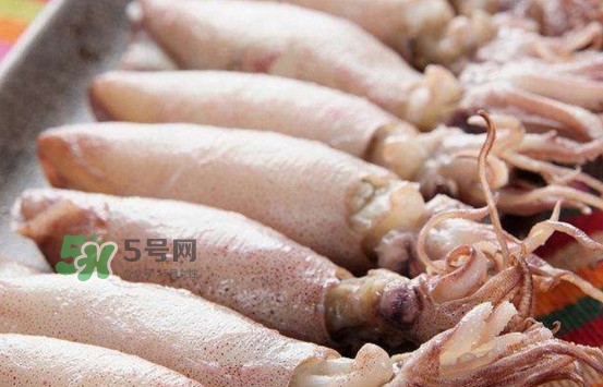 海兔子是小魷魚嗎？海兔子和魷魚的區(qū)別