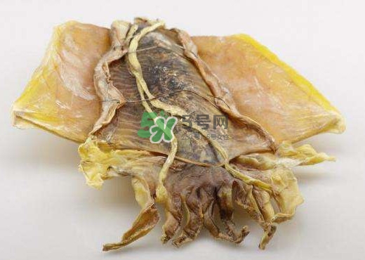 魷魚干是生的還是熟的？魷魚干是海鮮嗎