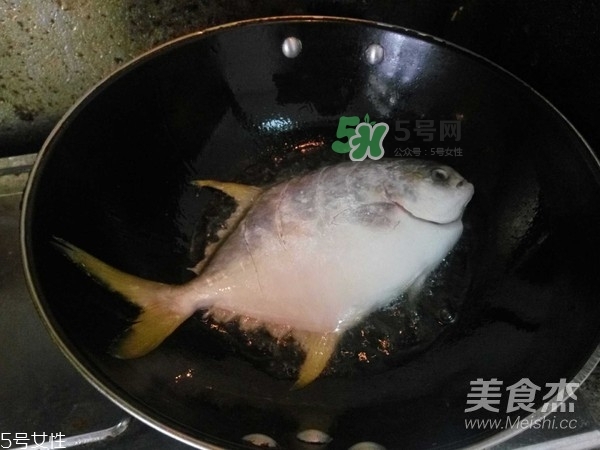 金鯧魚是海魚嗎？金鯧魚的刺多嗎？