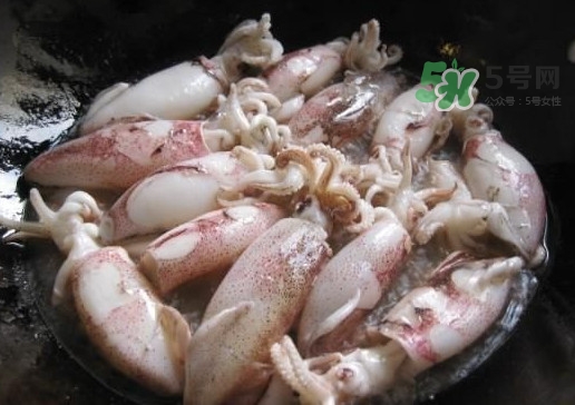 筆管魚是魷魚嗎？筆管魚和魷魚的區(qū)別