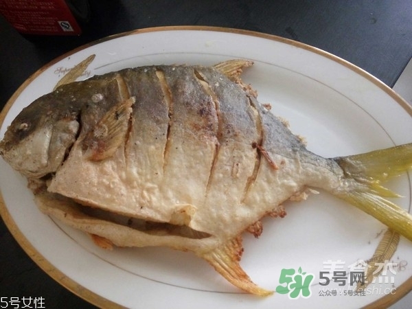 金鯧魚是海魚嗎？金鯧魚的刺多嗎？