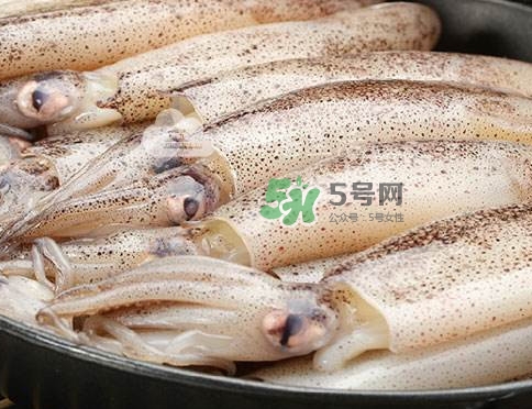 筆管魚是什么魚？筆管魚怎么吃