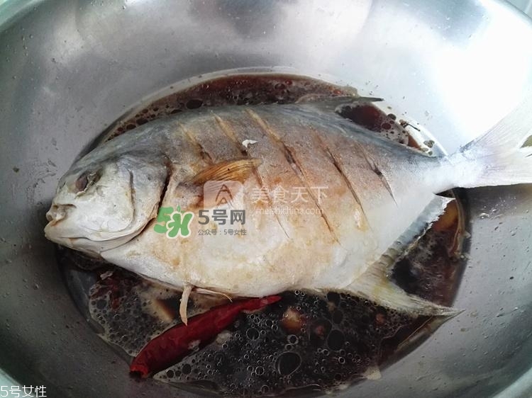 金鯧魚的營養(yǎng)價值 金鯧魚的功效作用 金鯧魚的營養(yǎng)價值 金鯧魚的功效作用