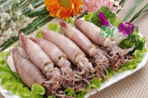 筆管魚是魷魚嗎？筆管魚和魷魚的區(qū)別