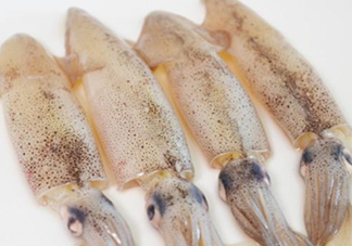 筆管魚是什么魚？筆管魚怎么吃