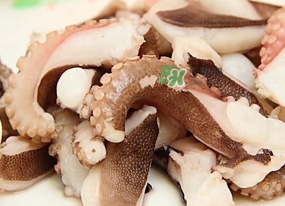 章魚有幾只腳？章魚有幾個爪子