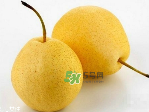 貢梨可以做冰糖雪梨嗎？貢梨可以燉川貝嗎？