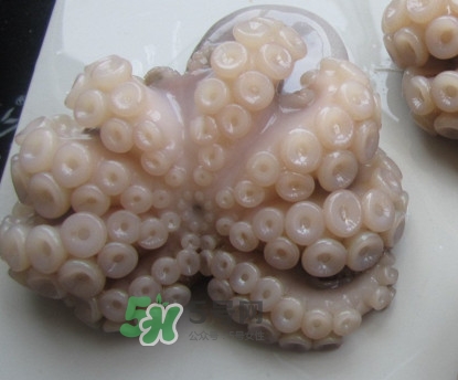 章魚有牙齒嗎？章魚天敵是什么