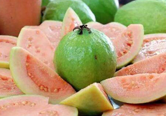 芭樂和石榴有什么區(qū)別？芭樂要吃硬的還是軟的？