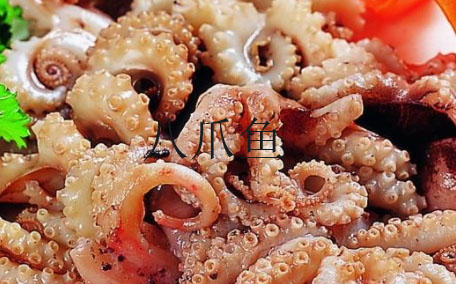 八爪魚(yú)