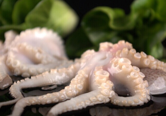 章魚有幾只腳？章魚有幾個爪子