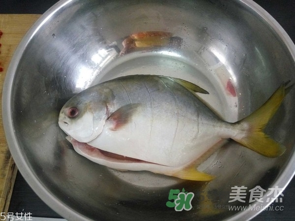 金鯧魚是海魚嗎？金鯧魚的刺多嗎？