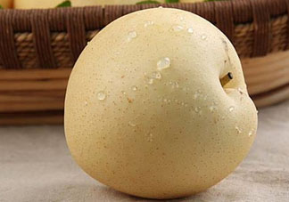 雪花梨什么時候成熟？雪花梨幾月份成熟？