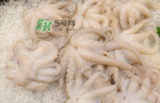 八爪魚(yú)的頭能吃嗎？八爪魚(yú)的頭里面是什么