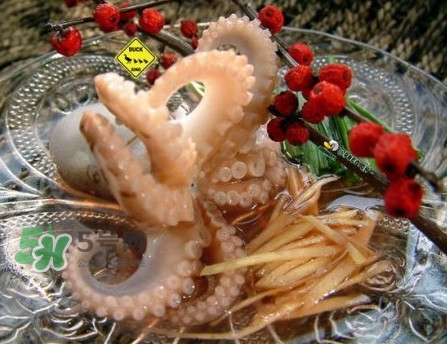 章魚有幾只腳？章魚有幾個爪子