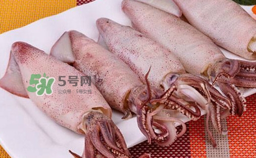 筆管魚怎么做好吃？筆管魚有什么營養(yǎng)