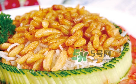 蜂蛹多少錢一公斤 蜂蛹怎么吃最有營養(yǎng) 蜂蛹多少錢一公斤 蜂蛹怎么吃最有營養(yǎng)