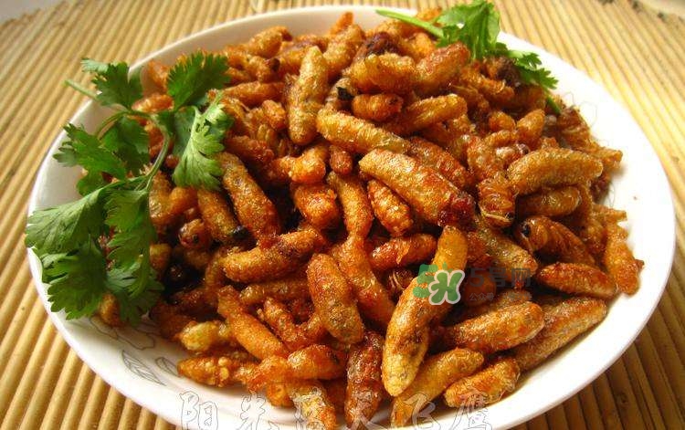 蜂蛹可以生吃嗎？蜂蛹的營養(yǎng)價(jià)值