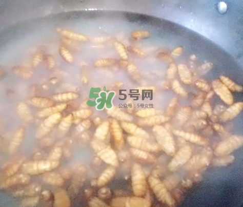 蜂蛹怎么保存？蜂蛹怎么做好吃？