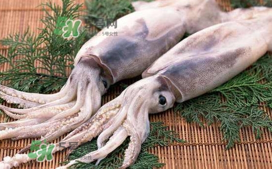 魷魚是海魚嗎？魷魚怎么炒好吃