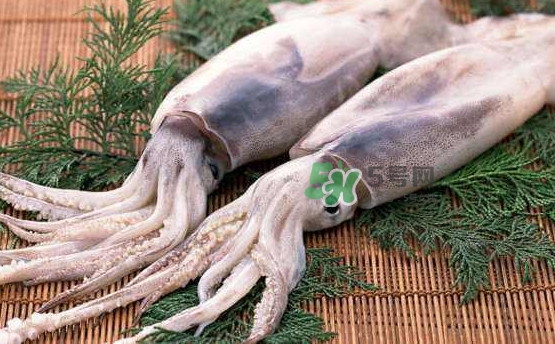 魷魚頭怎么切？魷魚怎么切花刀