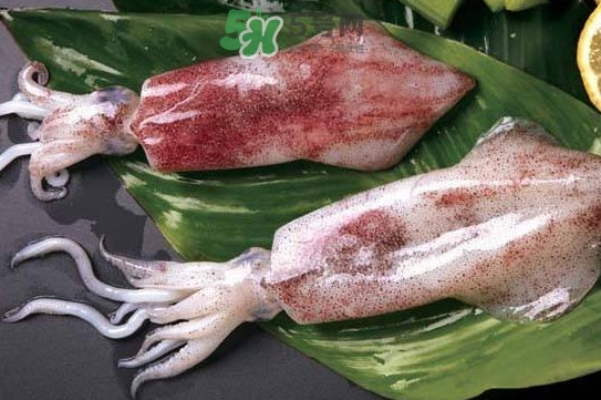 新鮮魷魚(yú)怎么處理？魷魚(yú)怎么清洗？