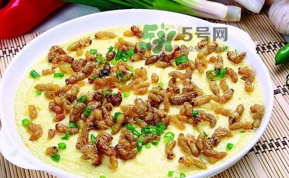 吃蜂蛹的禁忌 蜂蛹的做法大全 吃蜂蛹的禁忌 蜂蛹的做法大全