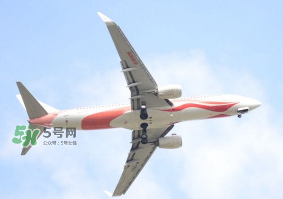 魷魚絲可以帶上飛機嗎？魷魚絲能帶上飛機嗎