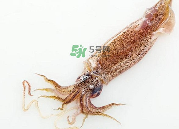 魷魚要焯水嗎？魷魚怎樣焯水