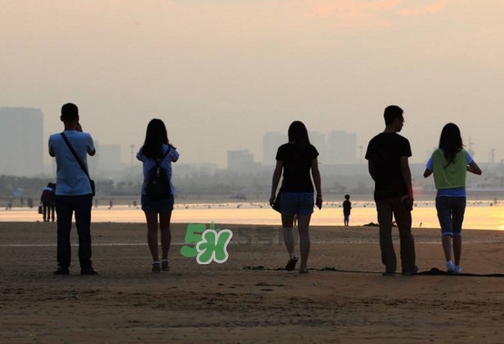 什么是心碎綜合癥？心碎綜合癥有哪些癥狀