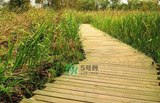 心碎綜合癥是抑郁癥嗎？心碎綜合癥怎么治療