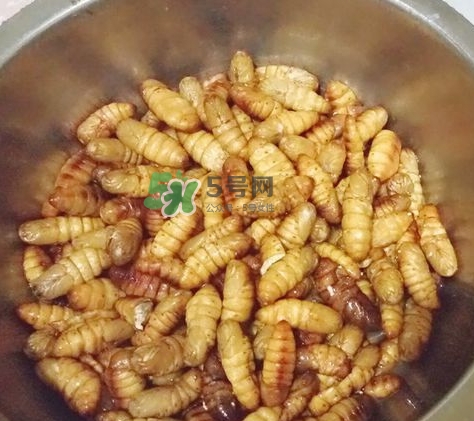 蜂蛹怎么保存？蜂蛹怎么做好吃？