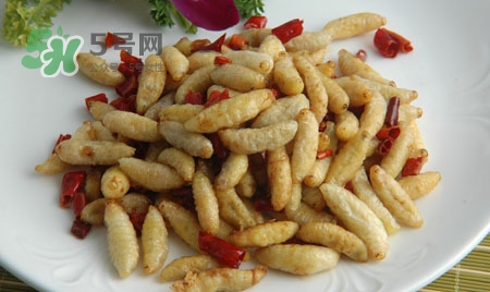 寶寶可以吃蜂蛹嗎？蜂蛹怎么吃最好吃？