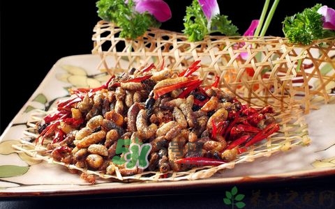 蜂蛹和枸杞能一起泡酒嗎？蜂蛹和枸杞泡酒的功效