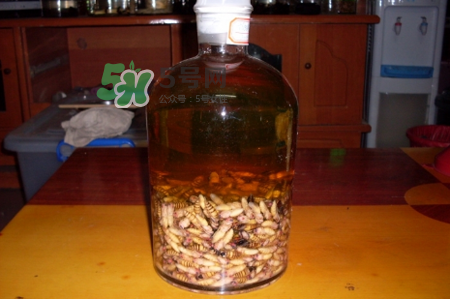 蜂蛹和枸杞能一起泡酒嗎？蜂蛹和枸杞泡酒的功效