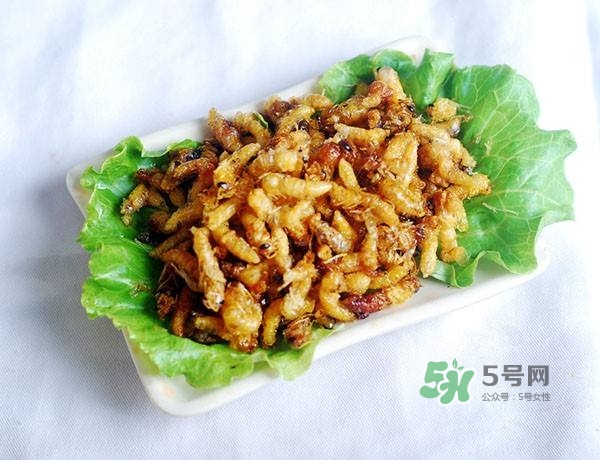 蜂蛹怎么保存？蜂蛹怎么做好吃？