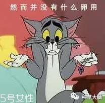 小氣泡是什么 小氣泡去黑頭有效嗎 小氣泡是什么 小氣泡去黑頭有效嗎