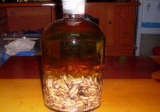 蜂蛹和枸杞能一起泡酒嗎？蜂蛹和枸杞泡酒的功效
