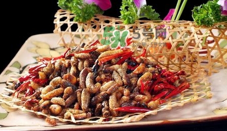 吃蜂蛹的禁忌 蜂蛹的做法大全 吃蜂蛹的禁忌 蜂蛹的做法大全