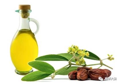 小氣泡是什么 小氣泡去黑頭有效嗎 小氣泡是什么 小氣泡去黑頭有效嗎