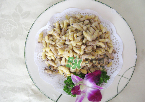 蜂蛹孕婦可以吃嗎？孕婦吃蜂蛹過敏怎么辦？