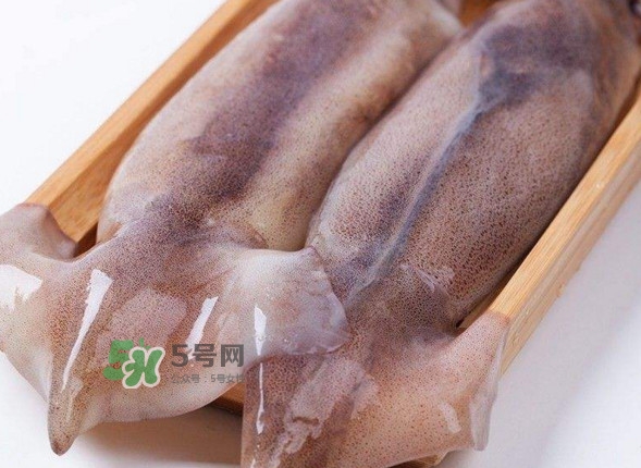 新鮮魷魚怎么保存？魷魚可以冷凍嗎