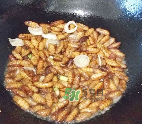 蜂蛹怎么保存？蜂蛹怎么做好吃？