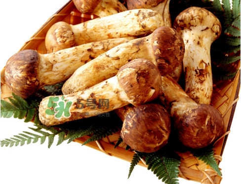 干松茸要泡多久？干松茸用冷水泡還是溫水泡好