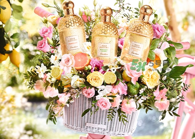 嬌蘭佛手柑花草水語(yǔ)淡香水怎么樣？嬌蘭佛手柑香水價(jià)格