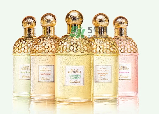 嬌蘭佛手柑花草水語(yǔ)淡香水怎么樣？嬌蘭佛手柑香水價(jià)格