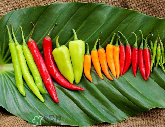 辣椒炒雞蛋的熱量是多少？辣椒能減肥嗎？