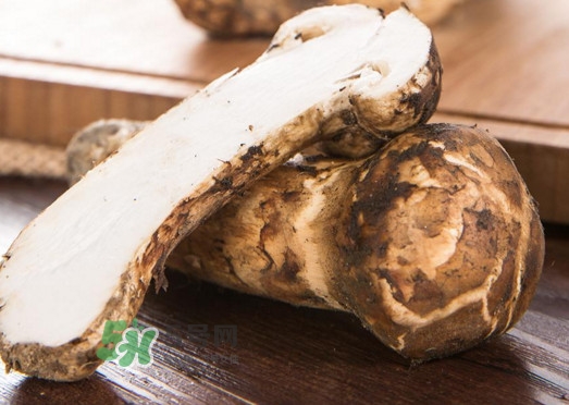 新鮮松茸怎么挑選？干松茸如何挑選